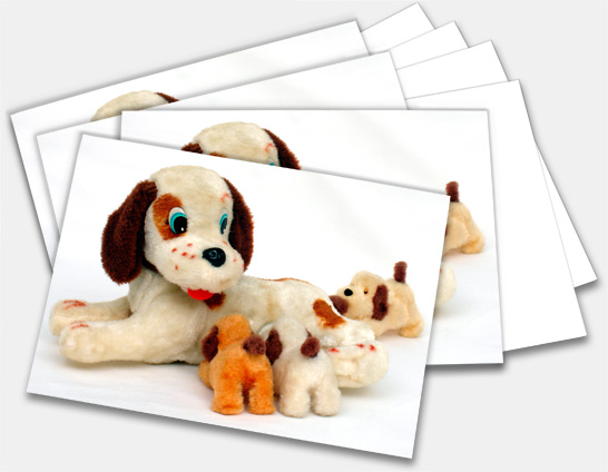 Note Cards, Greeting Cards featuring vintage antique made in Japan battery operated Nursing Puppies